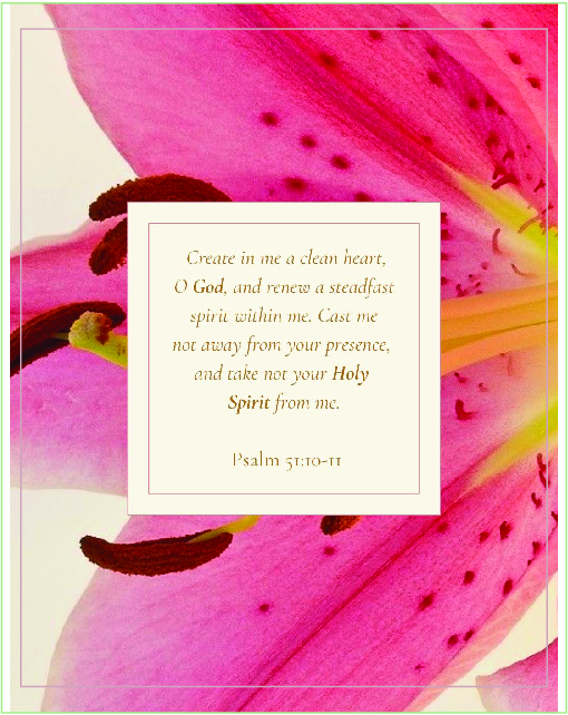 bible vers 1 for Private Client by Plan Photo Repro