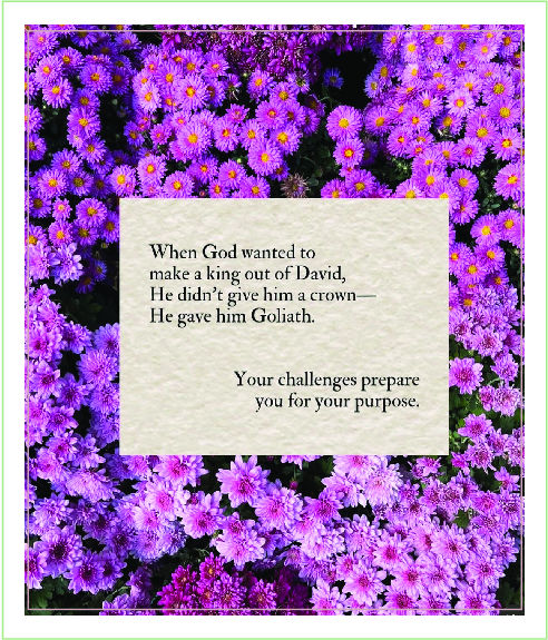 bible vers 3 for Private Client by Plan Photo Repro