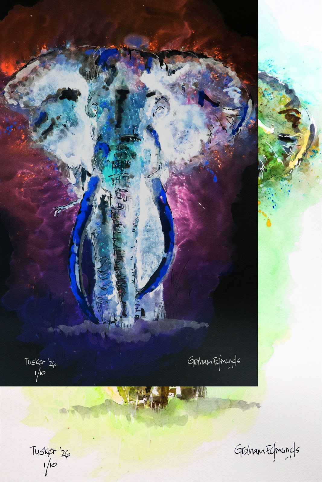 TUSKER CANVAS for TUSKER by Plan Photo Repro