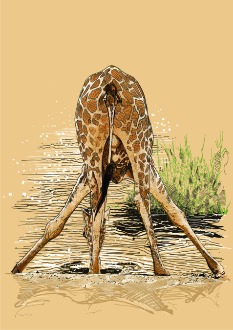 werner henken Giraffe 1 for Werner Henken by Plan Photo Repro